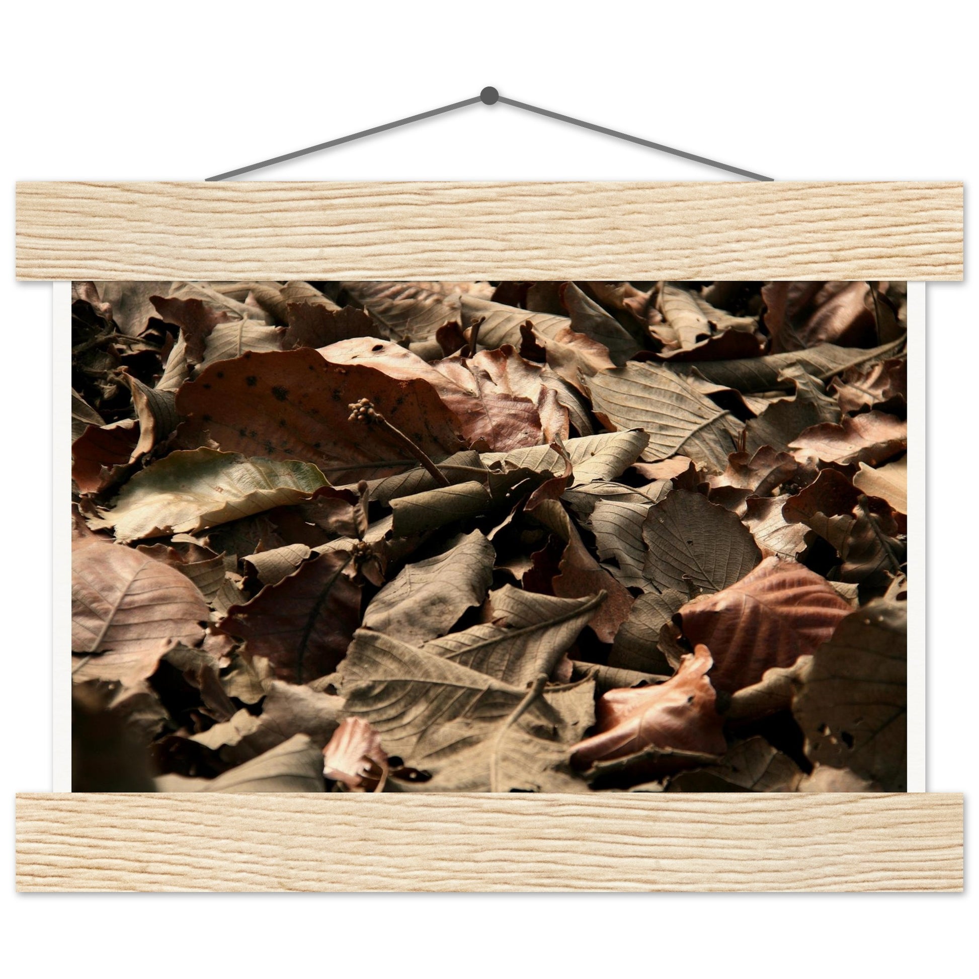 bdc18f63-eded-4961-942d-9df5016df58b