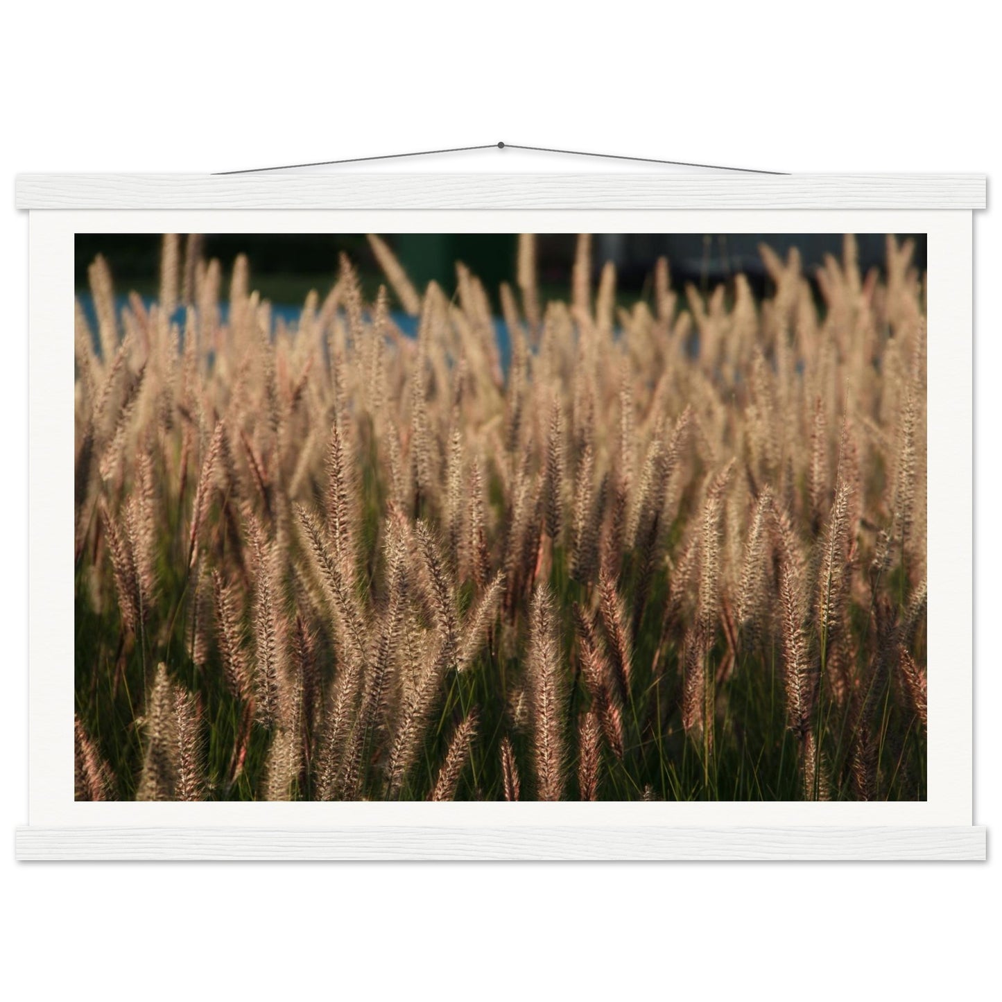 bf5aa882-5d4d-4a7d-949e-e0631eabbd0d