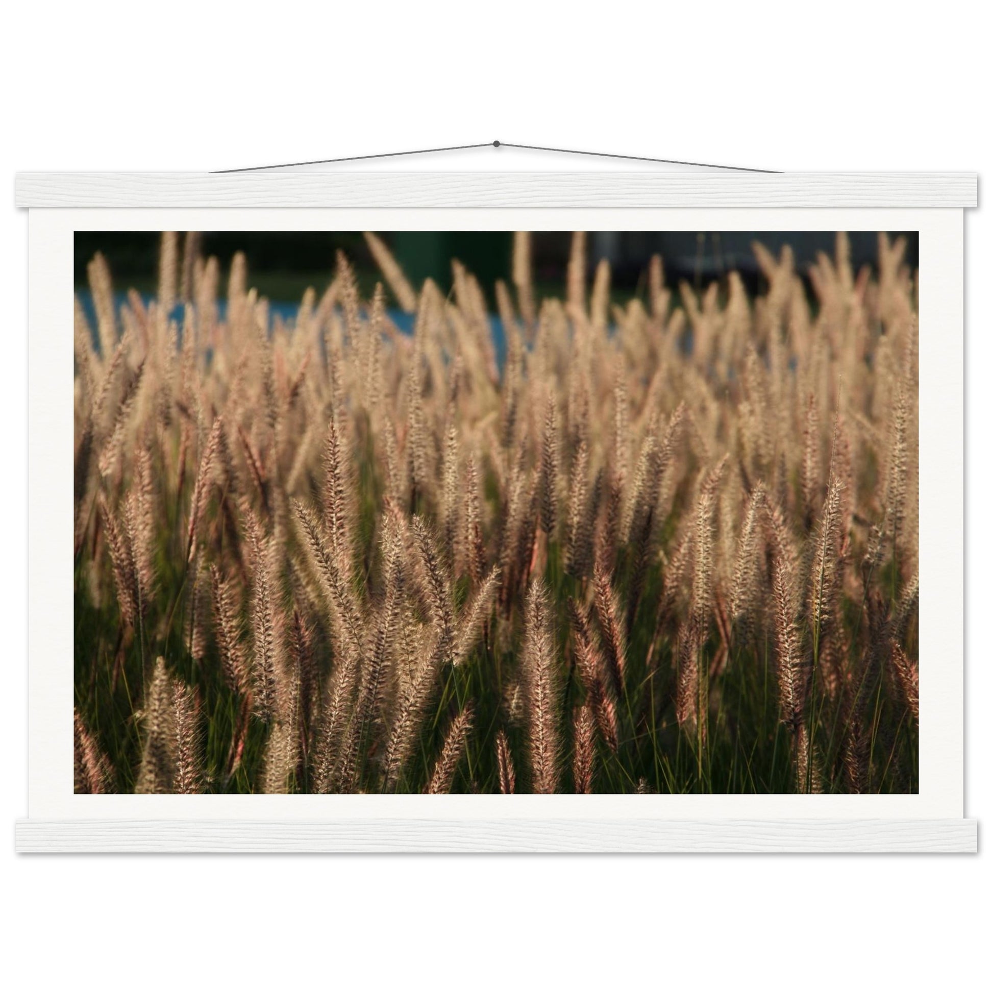 bf5aa882-5d4d-4a7d-949e-e0631eabbd0d