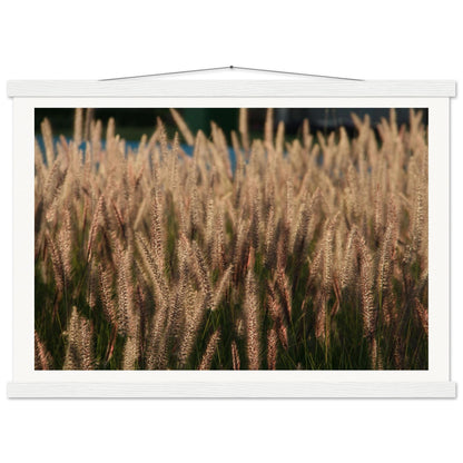 bf5aa882-5d4d-4a7d-949e-e0631eabbd0d