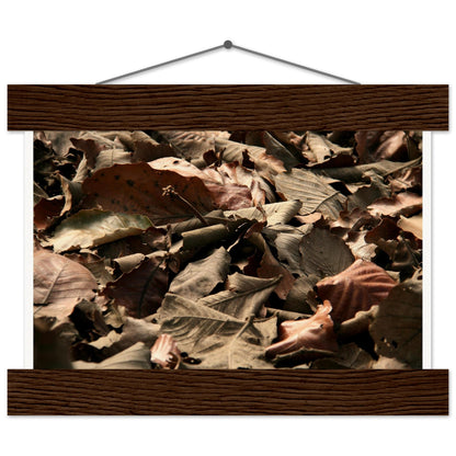 c6df0f99-a88b-4510-b0ea-8cb11bdfe5d7