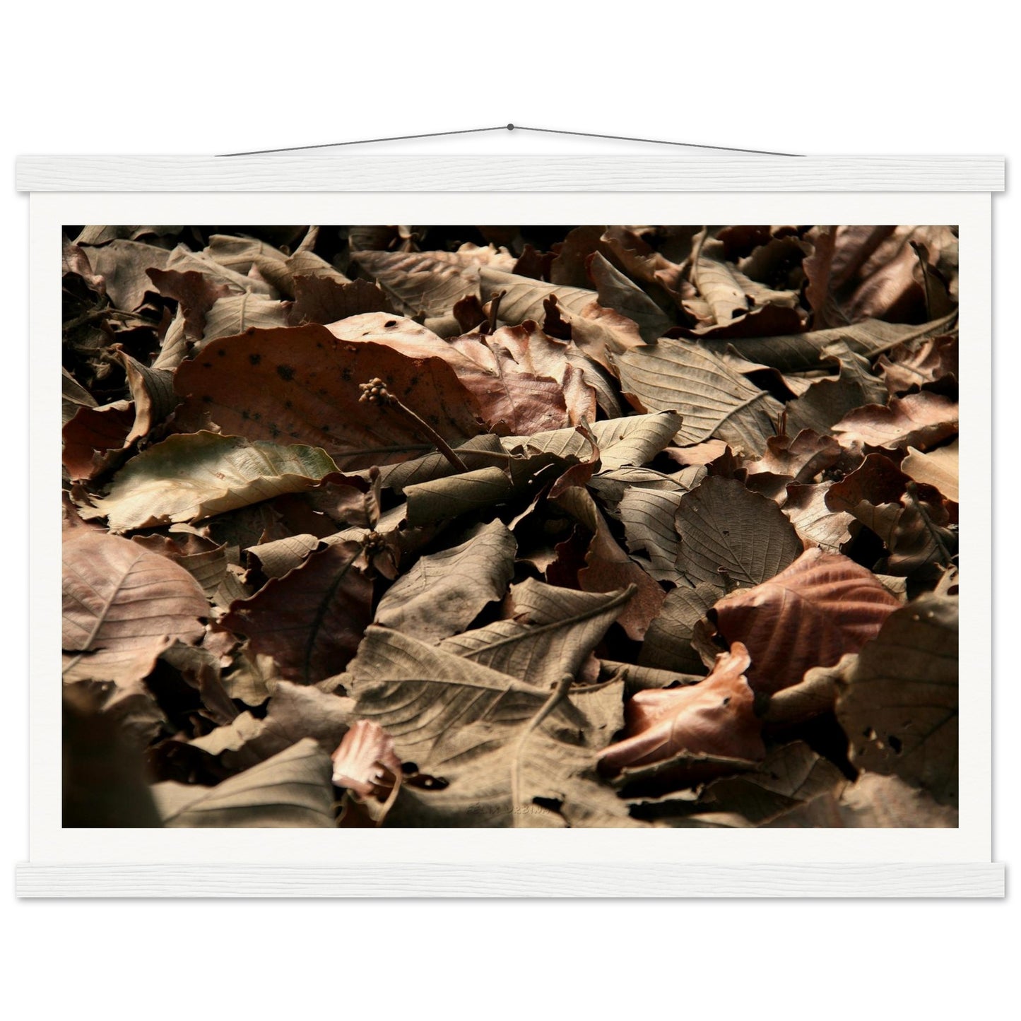 c70a04bf-d489-4a68-9d74-0340693e5d0d