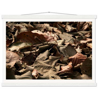 c70a04bf-d489-4a68-9d74-0340693e5d0d