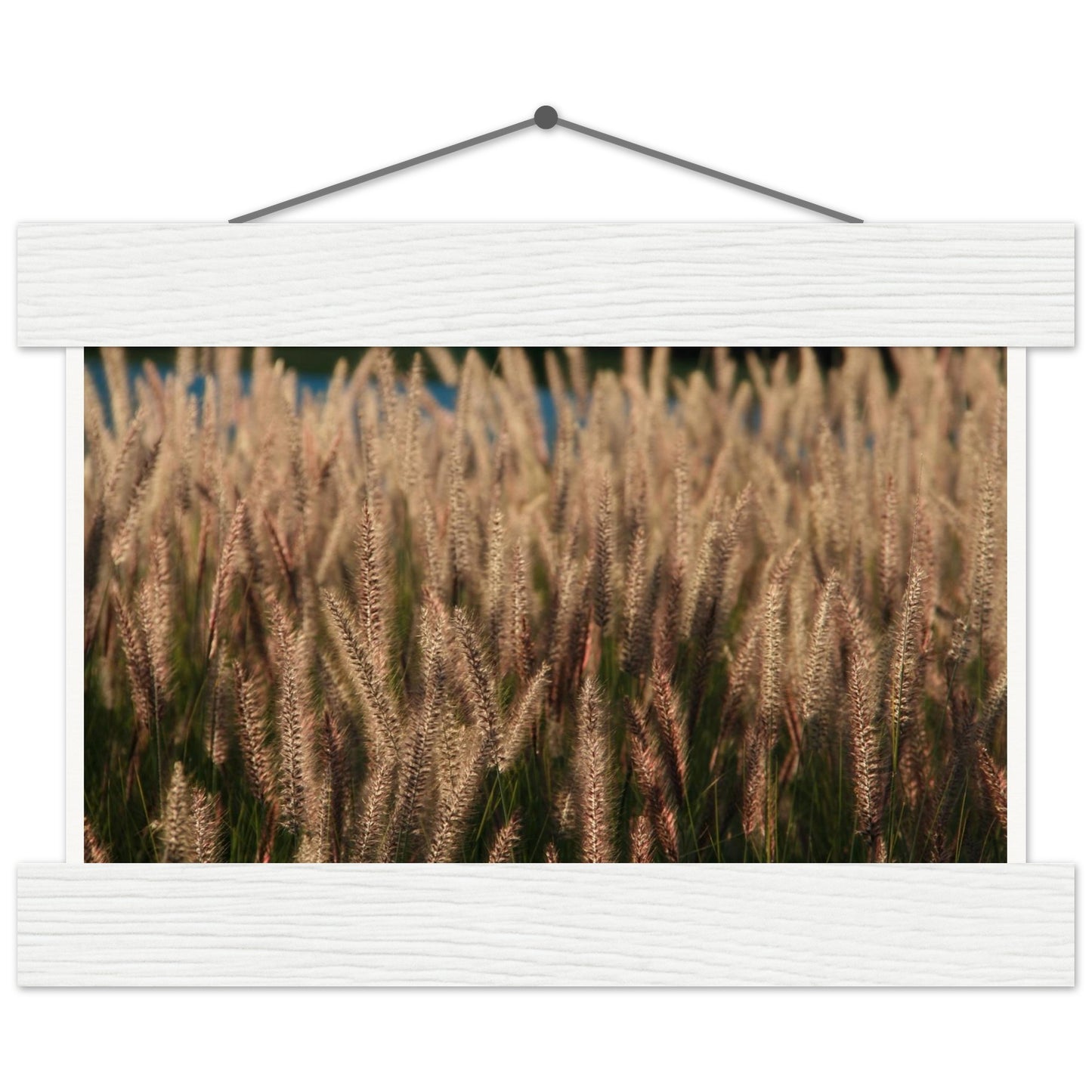 ce4db66f-b65e-4e10-a347-68ebc43ab882