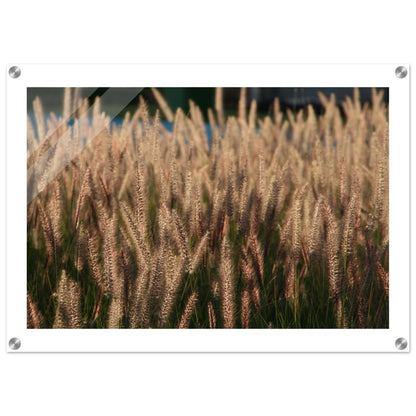 d3b190ef-8bdf-4664-bbe6-1433157bcc60