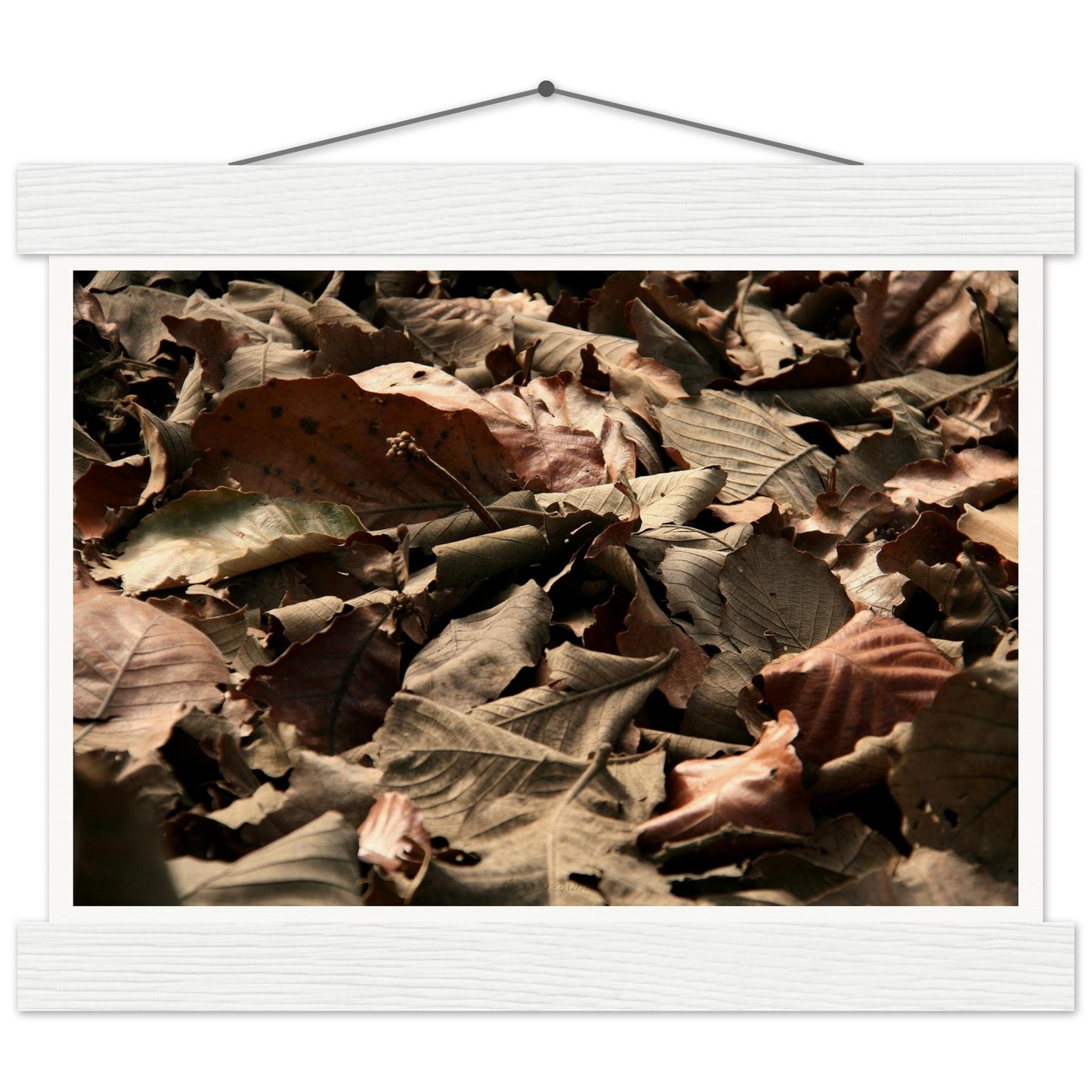 d85977f4-d354-4b12-a2d8-4b01286ca258