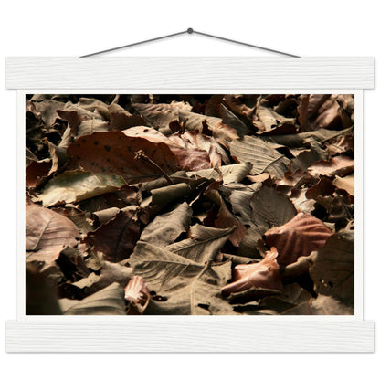 d85977f4-d354-4b12-a2d8-4b01286ca258