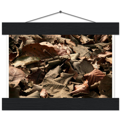 d983939d-f1f3-4114-a2d6-5ed473fd557a