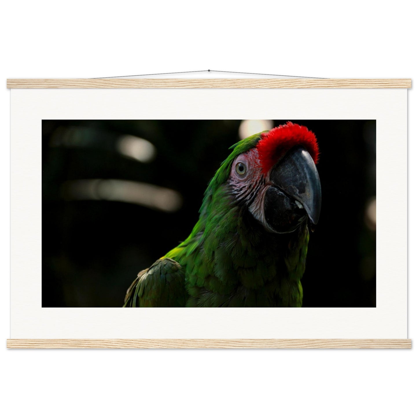 dc42a319-1f11-4c1f-a9d5-8e1be77569c3