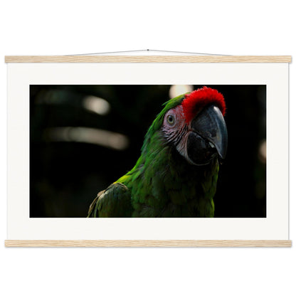 dc42a319-1f11-4c1f-a9d5-8e1be77569c3