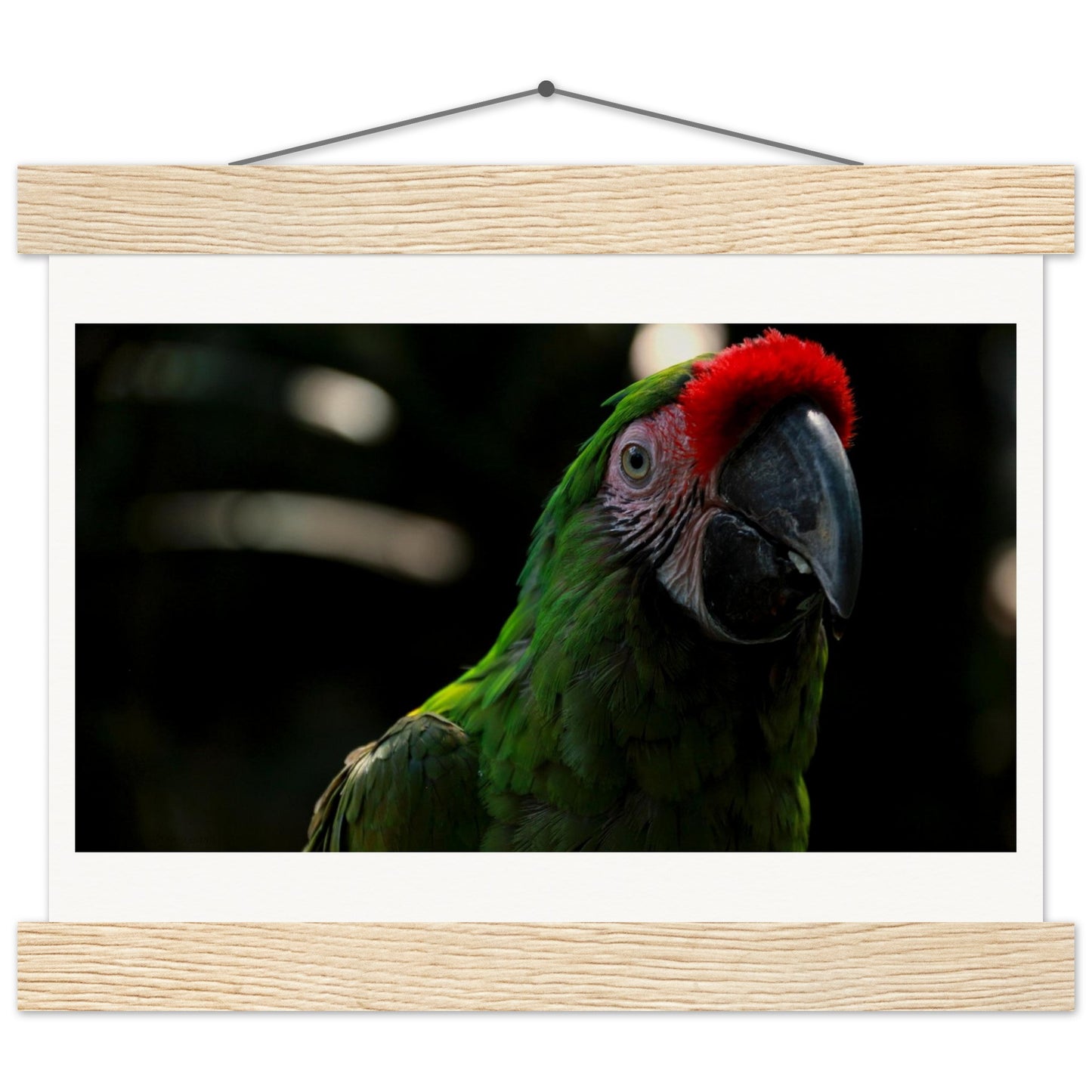 e398eb56-30cc-4b0d-ae32-19e0fa0c1f3f