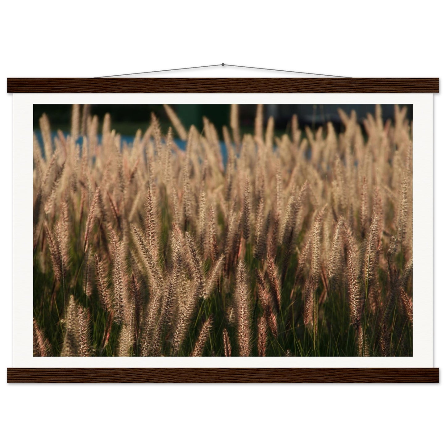 e71410f0-9839-45ba-86d6-86afdfbfbb3c