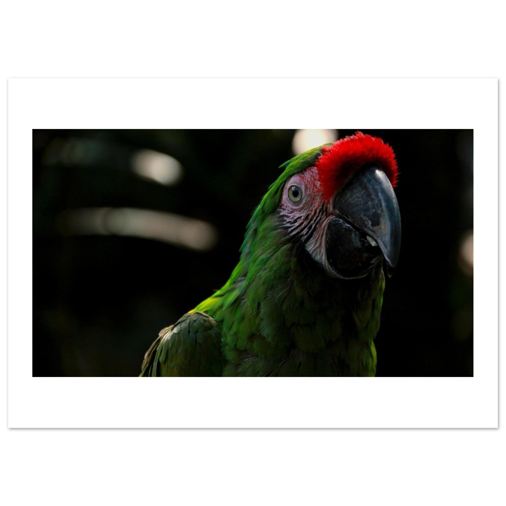 e9fa0f64-4aab-425f-a845-87bd4f80a52f