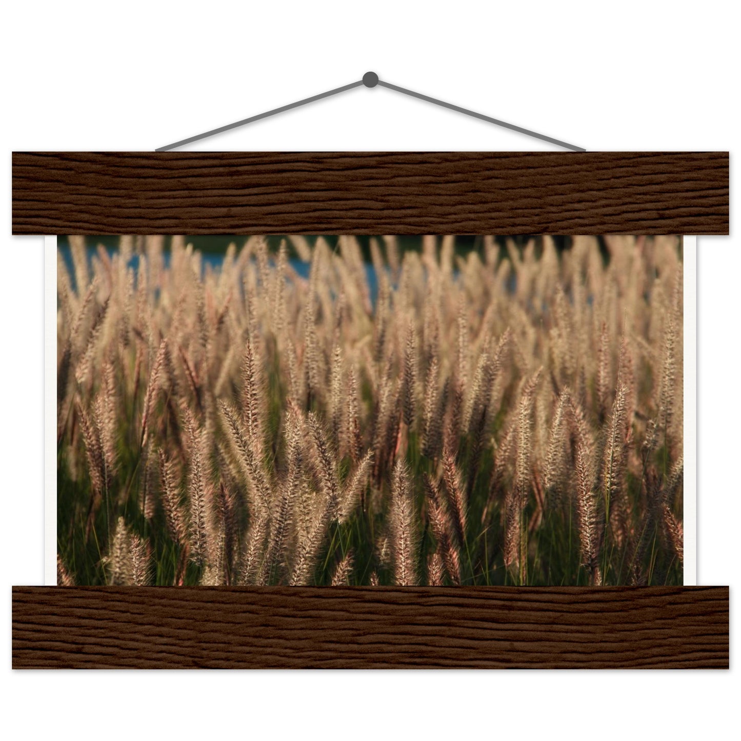 f3d02122-2869-4d9e-a792-6794900177bd