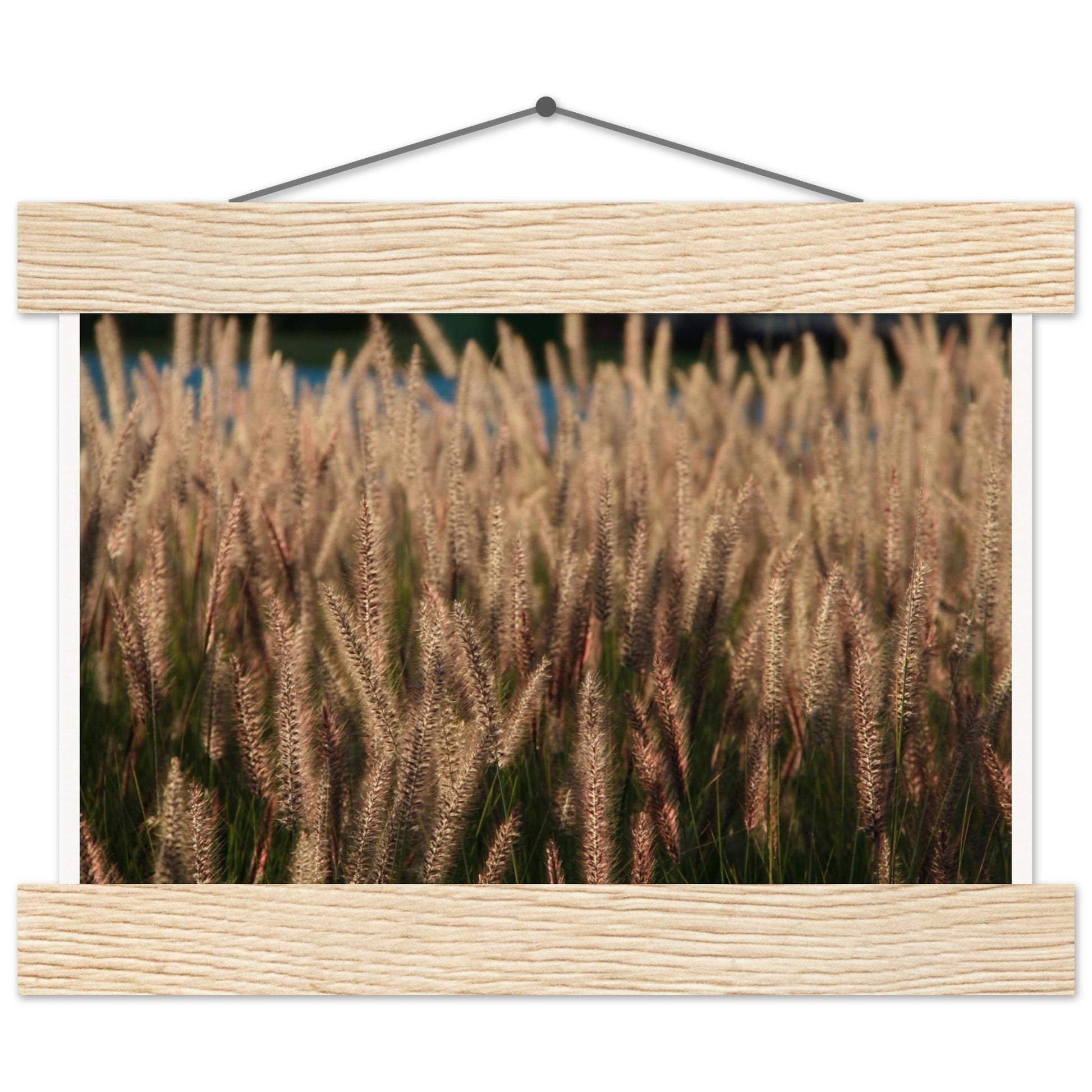 f4eaa4c0-5707-4f16-a429-67bc842c6267