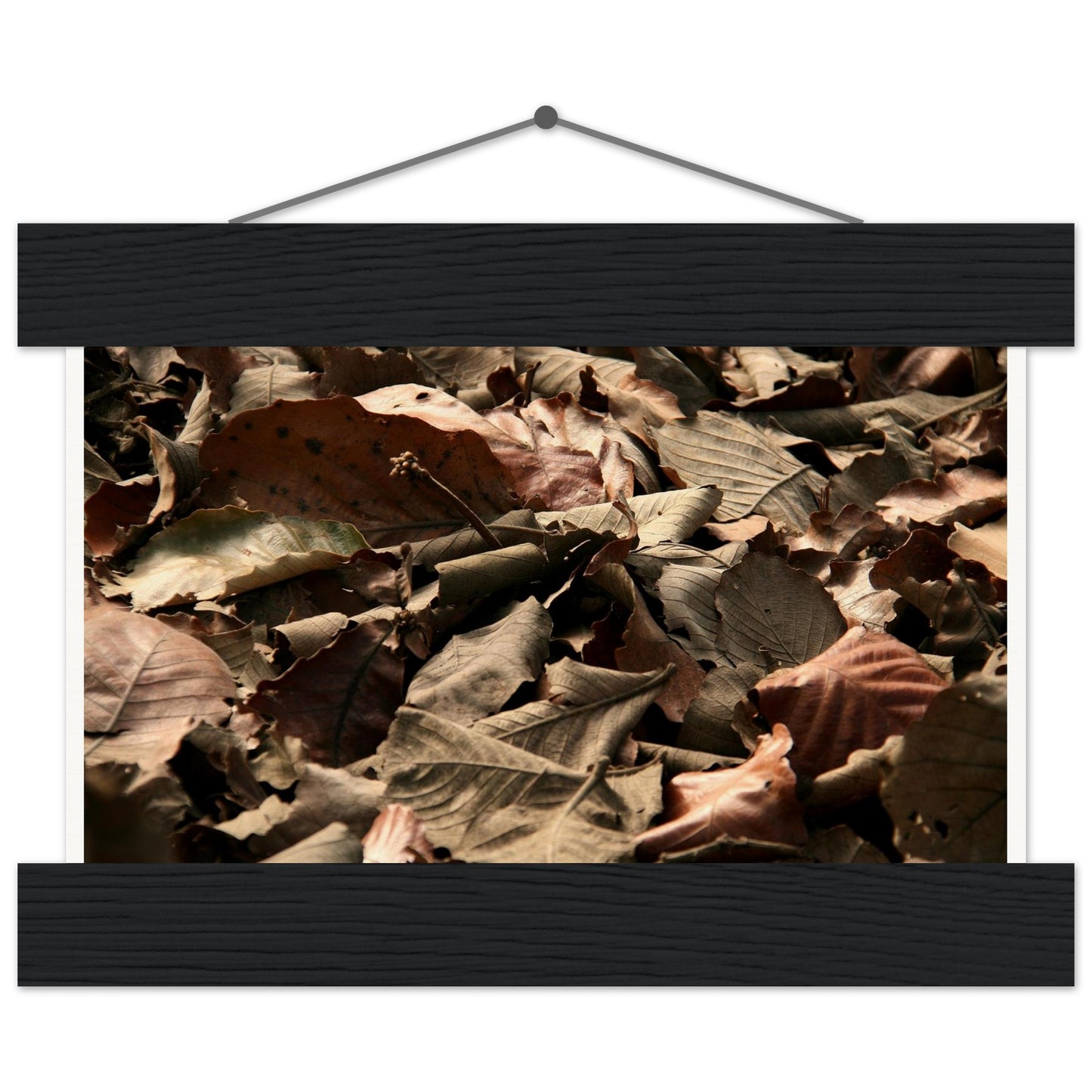 f981b18c-8570-495e-85a2-de9cd7a42a43