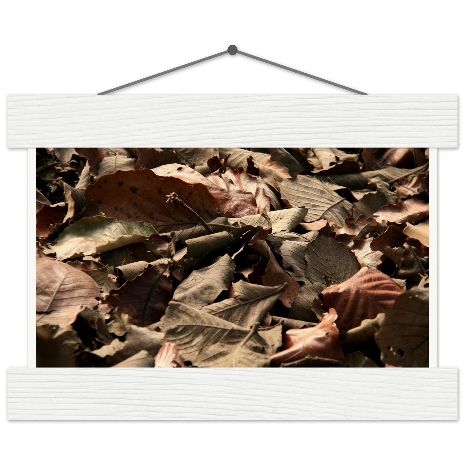 fdf46c6a-542f-4336-8410-0ba6b51cbfc6